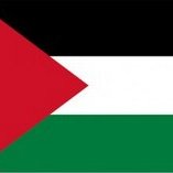 drapeau_de_palestine.jpg